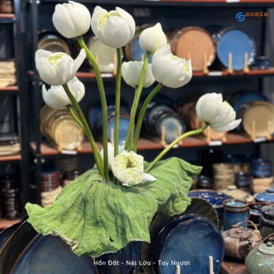 516870502 1494175318595785 5188815756568723154 n